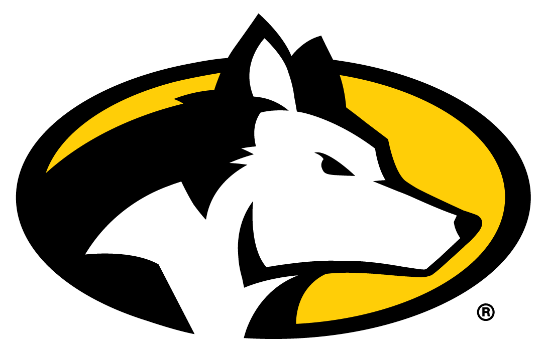 Michigan Tech Huskies 2016-Pres Partial Logo diy DTF decal sticker